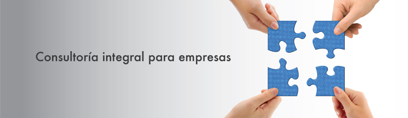 consultoria integral para empresas