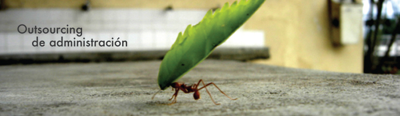 outsourcing de administracion