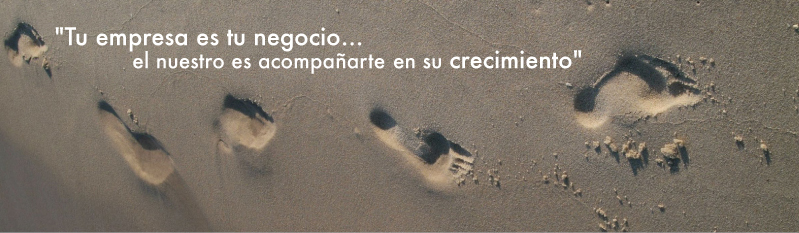 tu empresa es tu negocio, el nuestro es acompañarte en su crecimiento